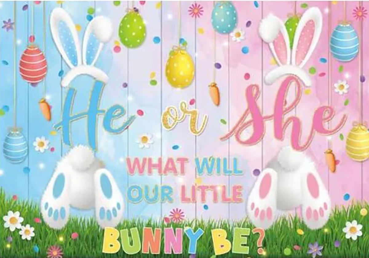 Bunny Gender Reveal He Or She Pink O Blue Baby Shower Easter Spring Bunny Rabbit Background Party Background