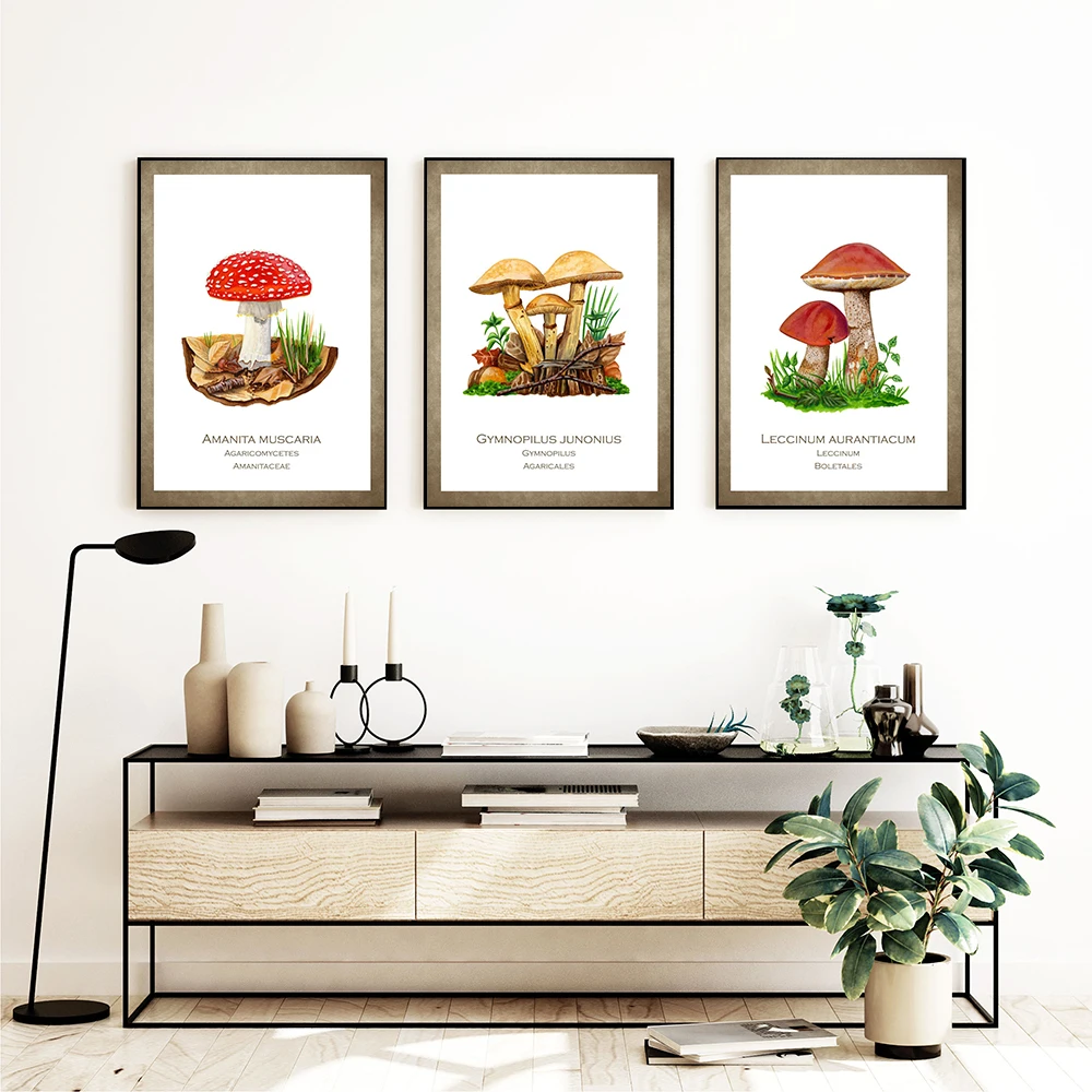 Vintage Amitia Muscaria Fungo Poster Antico Wall Art Immagini Botaniche Fly Agaric Toadtool Canvas Painitng Office Decor