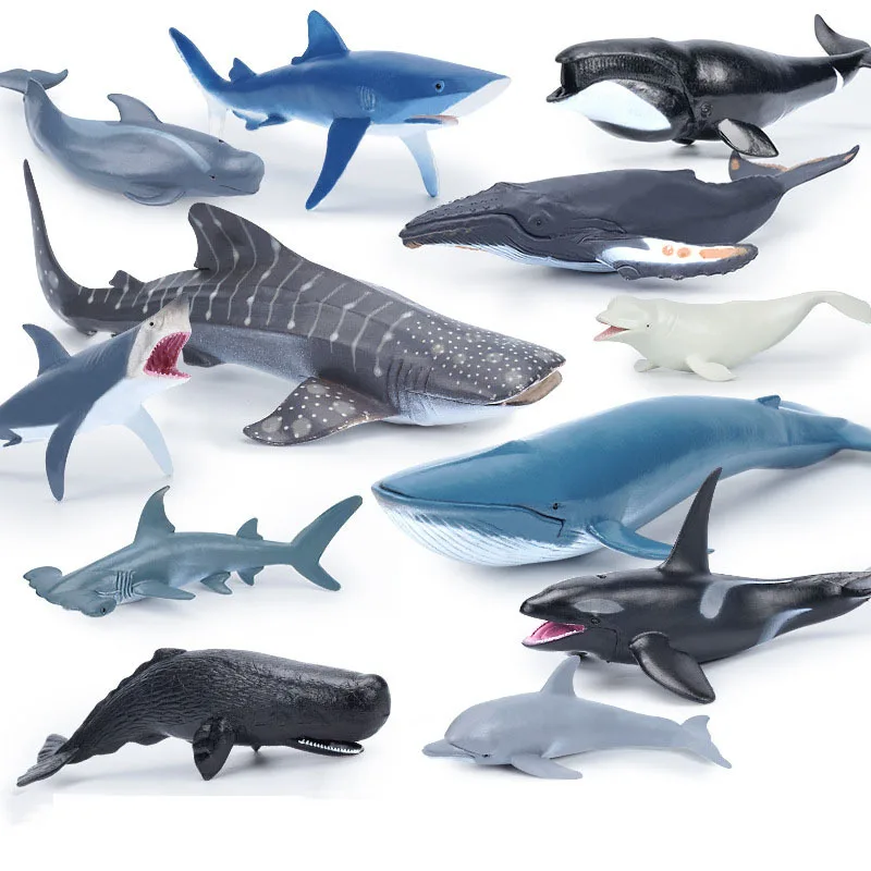 Simulazione In Pvc Animali Marini Action Figures Humpback Balene Shark Beluga Dolphin Toys For Children Collection Regalo Per Bambini