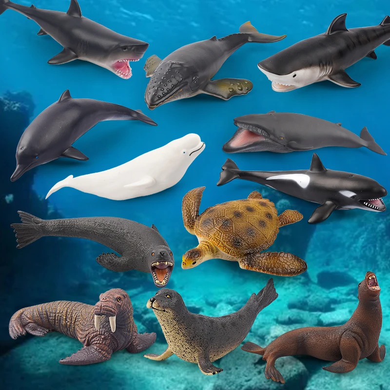 Marine Life Gobba Whale Great White Shark Turtle Beluga Model Action Figures Soft Sea Animal Dolphin Per Giocattoli Educativi Per Bambini