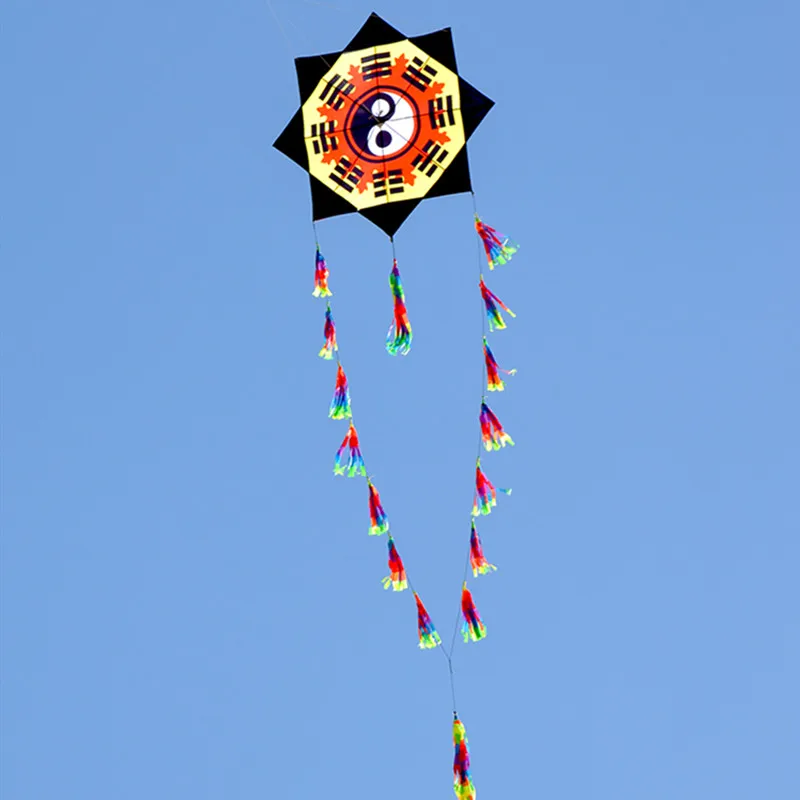 Spedizione Gratuita Gossip Kite Adulti Aquiloni Nylon Kite Reel Paraglider Kite Factory Albatross Kite Air Koinobori Cerf Cometic Bag Koi