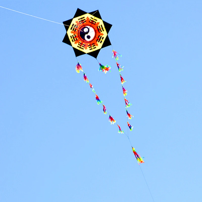 Spedizione Gratuita Gossip Kite Adulti Aquiloni Nylon Kite Reel Paraglider Kite Factory Albatross Kite Air Koinobori Cerf Cometic Bag Koi