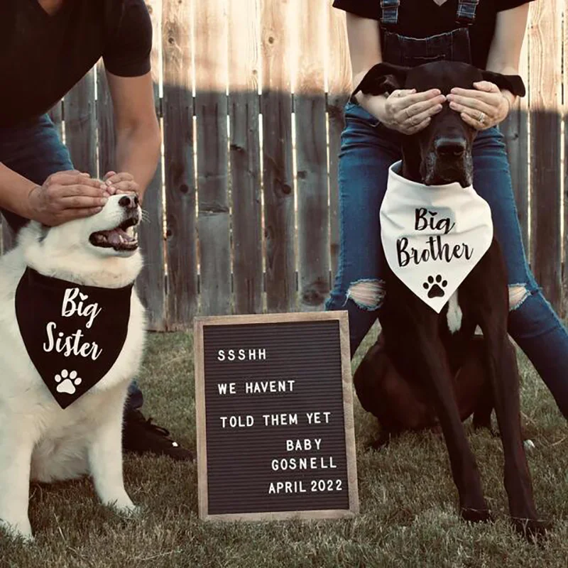 Big Sister Brother Dog Bandana Annuncio Di Gravidanza Baby Shower Gender Reveal Daddy Mommy To Be Decoration Gift Photo Props