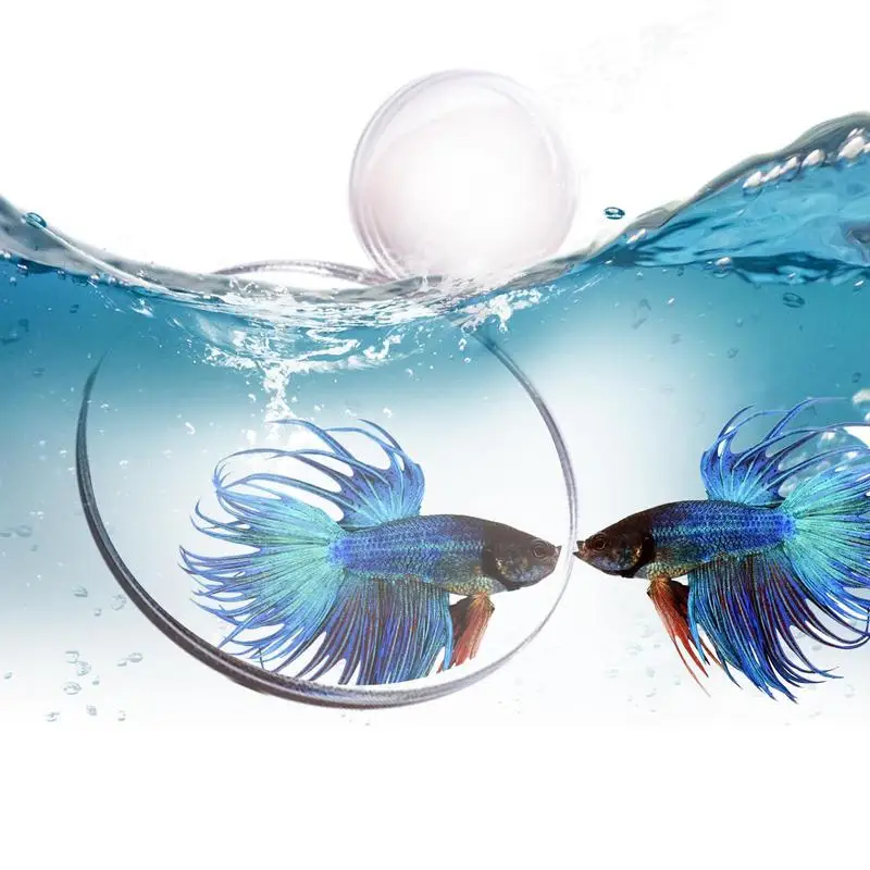 Acquario Acrilico Betta Mirror Fish Tank Round Divertente Training Mirror Fish Bowl Ornamenti Architettonici Per Tank Playing Accessories