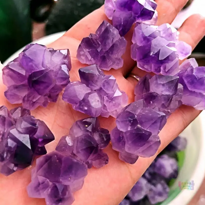 Live Naturale Uruguay Ametista Cluster Ametista Pietra Ametista Fiori Spina Dorsale Di Cristallo Ametista Gemma Ciondolo Fai Da Te Originale