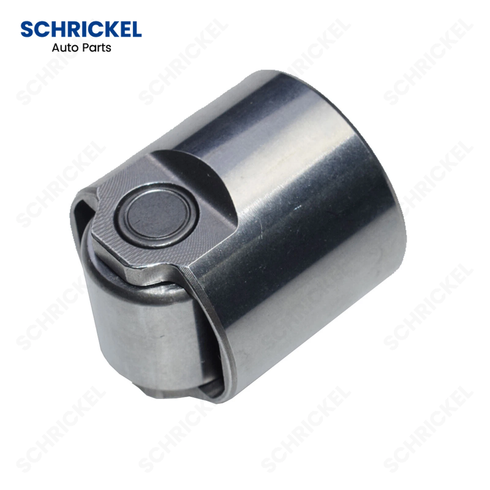 Pompa Carburante Punteria Cam Follower Stantuffo Per Audi Vw Bmw Golf Caddy Beetle Jetta Polo Passat Tiguan Touareg 06 L109311