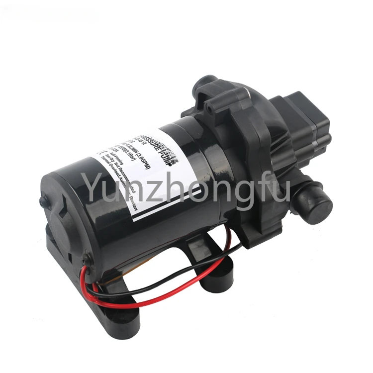 Mini Micro Wilden 12V Doppia Pompa Dell'Acqua Pressione Elettrica 12V Pompa A Membrana Per Caravan Barca Campeggio Irrigazione