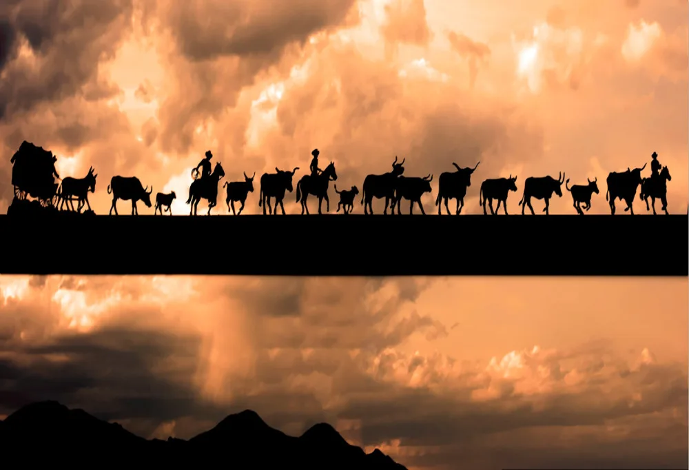7 X5Ft Wild West Field Safari Cow Herd Horse Cowboy Storm Sky Custom Photography Sfondi Studio Fondali Vinile 220Cm X 150Cm