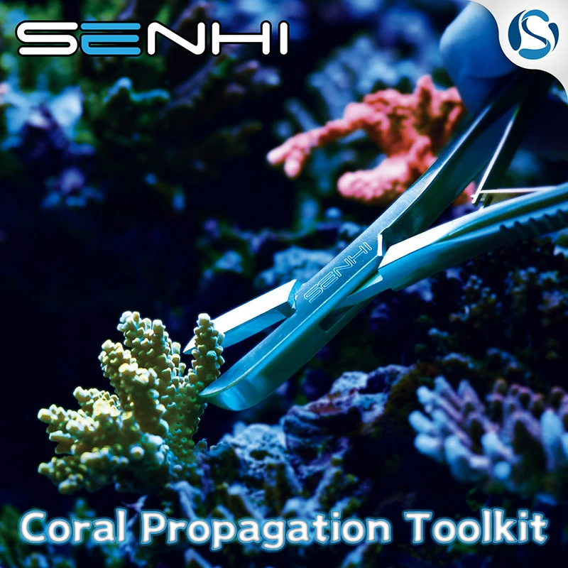 Strumenti Senhi Coral Propagation Toolkit Hai Bisogno Dello Strumento Sps Strumento Lps Sale Waterfark Cilindro Corallo Cassetta Degli Attrezzi Preven