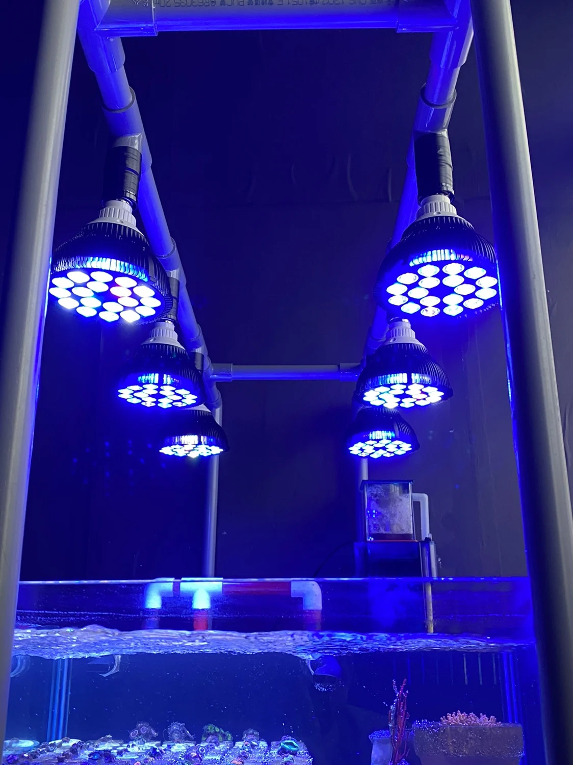 Full Specturm Led Aquarium Reef Light 54W Grow Lamp Fish Tank Bulb Per Coral Fish Saltwater Nanotank Plant Sps Lps