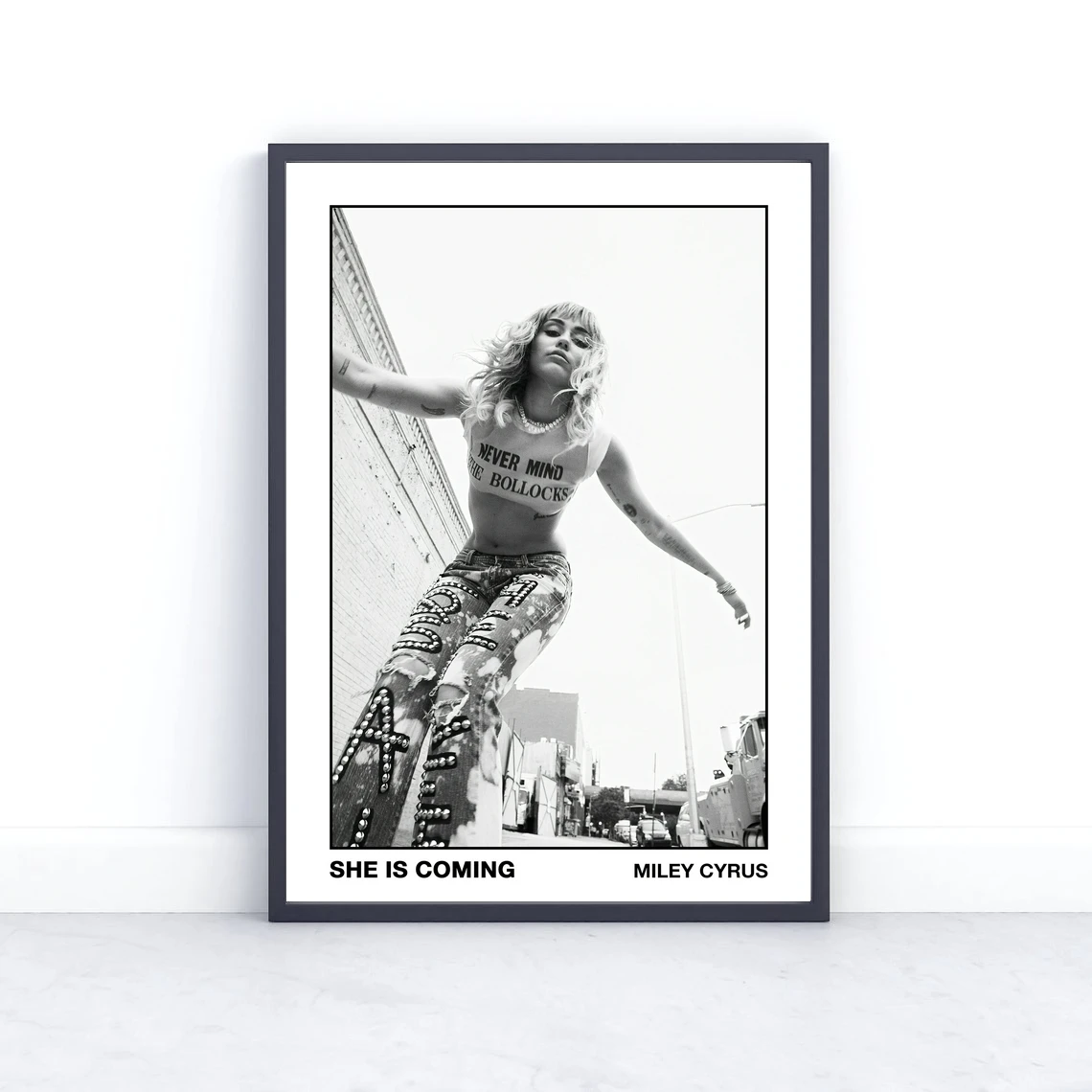 Miley Cirus-Catitude Music Album Cover Poster Singer Music Star Canvas Photo Photo Art Poster Print Home Decoration