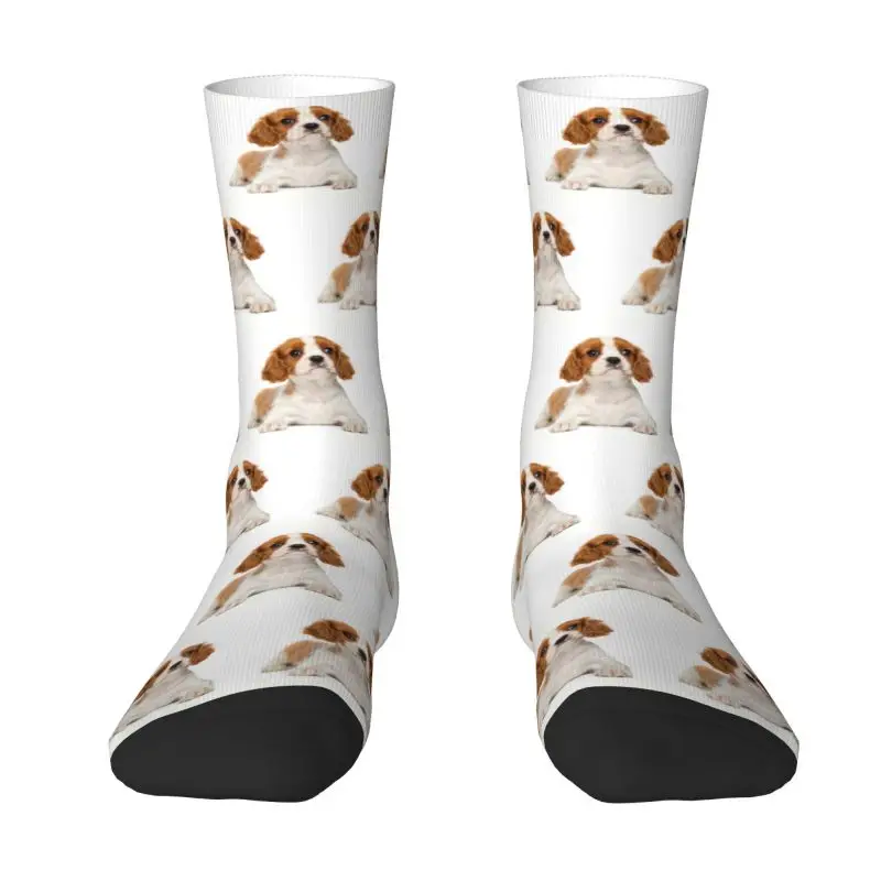 Cavalier King Charles Spaniel Puppy Mens Crew Socks Unisex Fun 3D Printing Pet Dog Dress Socks