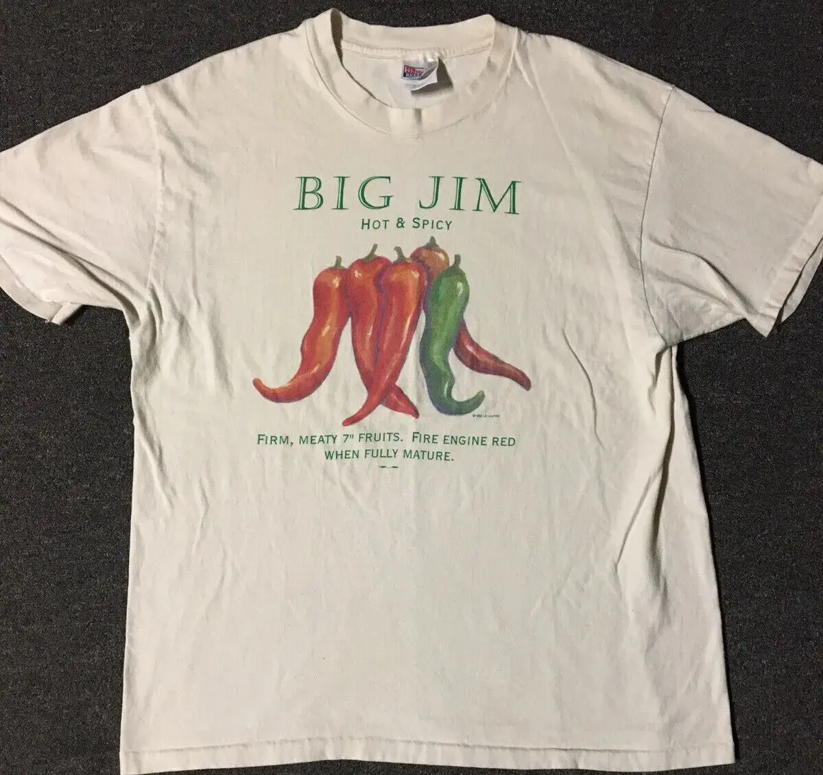 Vtg 90S New Mexico Big Jim Chili Pepper Shirt Xl Usa Nature Fruit Grunge Biker Maniche Lunghe