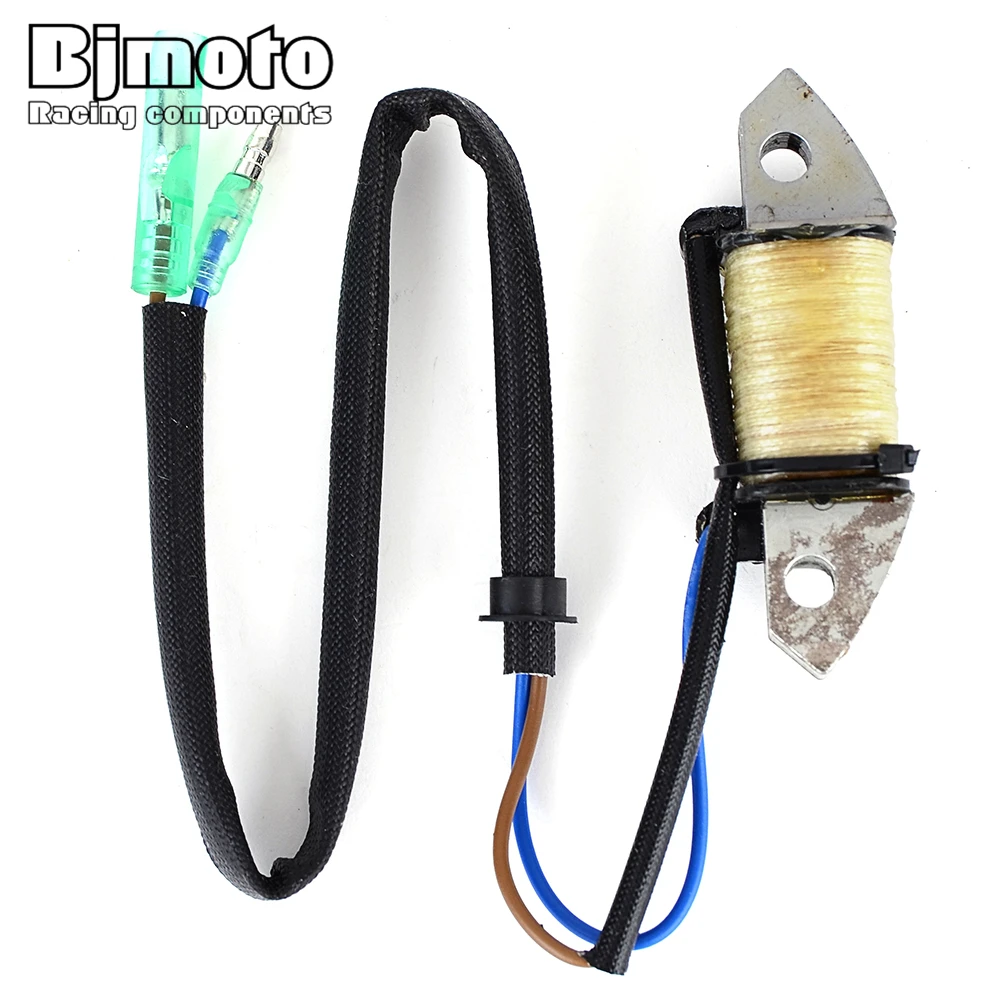 Bobina Statore Accensione Moto Per Yamaha 40V Mhos Mhos/L Mhol Eos Eol Eos/L 50 M(W/E/T/H/O)S/L C40 Ts/Lr 40 Plr/Ps/Lr