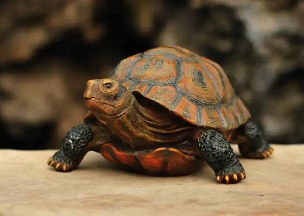 Tortoises Animali Una Villa Giardino Laghetto Ornamentale Giardino Laghetto Ornamentale Giardino Resina Statua Arts