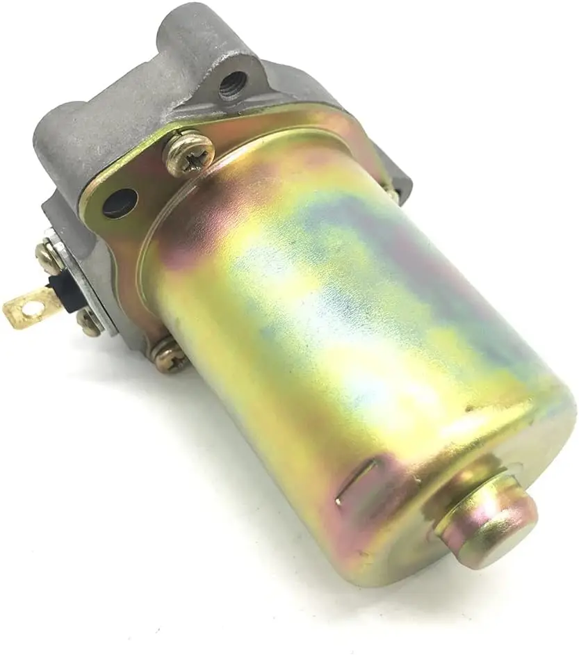 Motorino Di Avviamento 125Cc Motorino Di Avviamento Per Impieghi Gravosi Adatto Per Racing Rotax Max Fr125 Go Kart Racing Moto Engine Part Muslimah