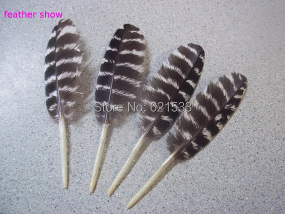 100 Pz/Lotto! 7-10Cm Wild Turkey Piccolo Quills,Wild Turkey Piccola Ala Piume, Wild Turkey Piume Per Artigianato, Arte, Ecc