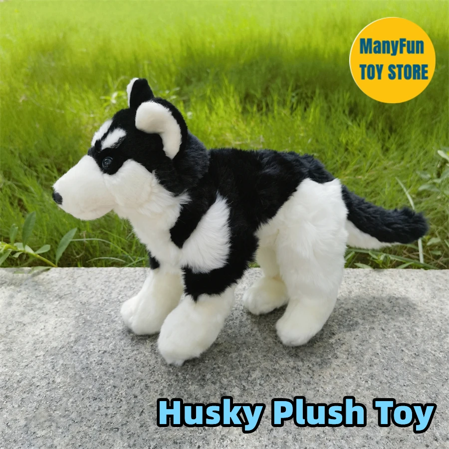 Husky Dog High Fidelity Anime Cute Plushie Eskimo Sled Dog Peluche Animali Realistici Simulazione Bambola Di Pezza Kawai Toy Kids