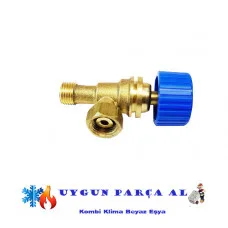 Viessmann Vitodens Vitopend Wh1B 7825984