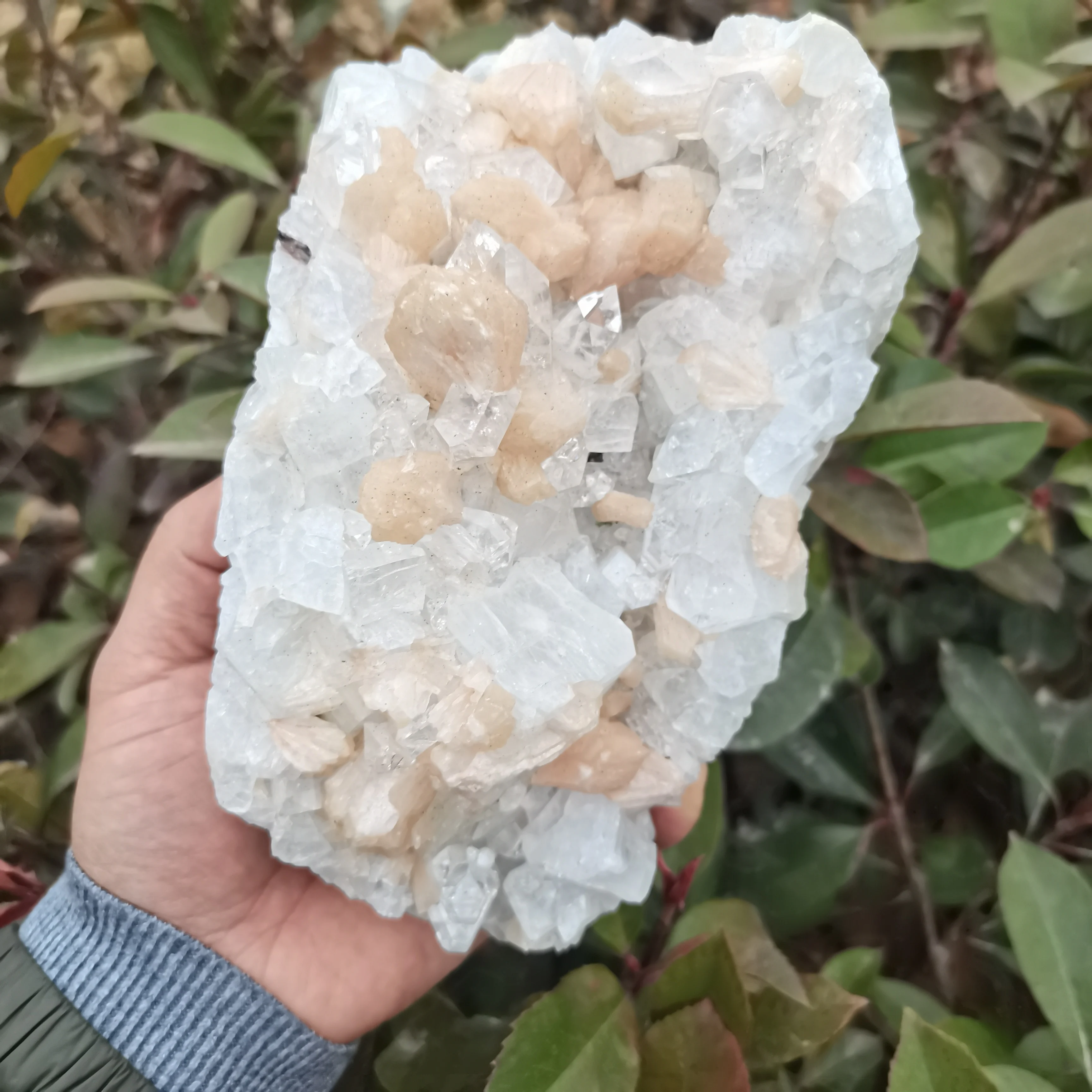 Cristalli Di Apofllite Naturale Apofllite Minera Campioni Pietre Curative Apprezziamo La Collezione Di Insegnamento E Ricerca Scientifica