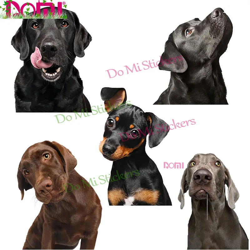 Divertente Labrador Retriever E Doberman Pinscher Sticker Per Motocross Racing Laptop Helmet Trunk Wall Vinyl Car Sticker Fustellato