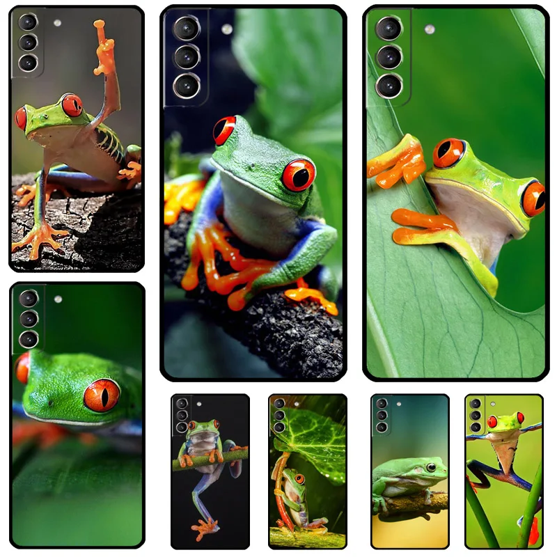 Custodia Green Frog Wildlife Per Samsung Galaxy S24 S23 S22 S21 Plus Ultra Note 20 S9 S10 Note 10 S20 S21 Fe Cover