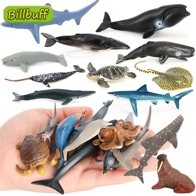 Mini Simulazione Oceano Modello Animale Squalo Balena Tartaruga Lontra Walrus Dolphin Ray Action Figures Giocattolo Educativo Precoce Per Bambini