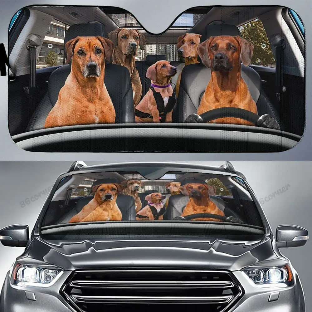 Rhodesian Ridgeback Family Driving Car Sunshade, Rhodesian Ridgeback Family Car Sunshade For Windshield, Rhodesian Ridgeback Lov