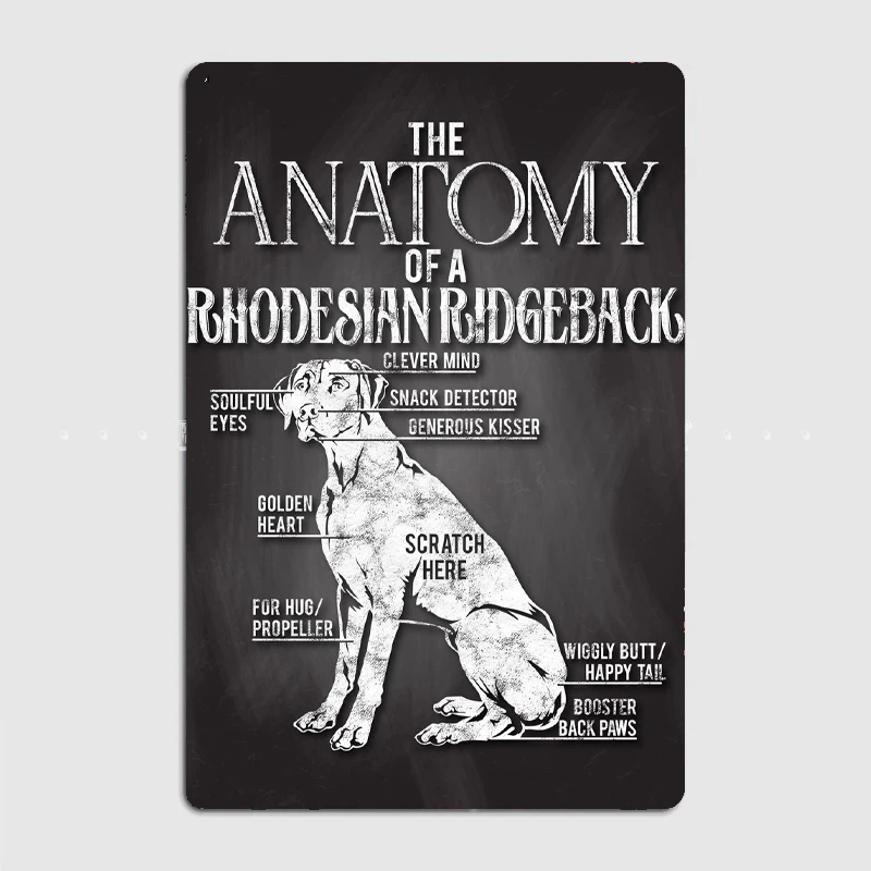 Rhodesian Ridgeback Anatom Metal Sign Murale Painting Cinema Living Room Cinema Funny Tin Sign Poster
