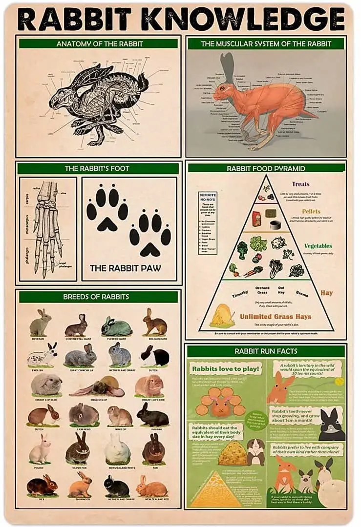 Rabbit Knowledge Animal Footprints Metal Signs Wall Decor Chart Knowledge Posters Hunter Home Decor Club Decor Plaque 12X16 Inch