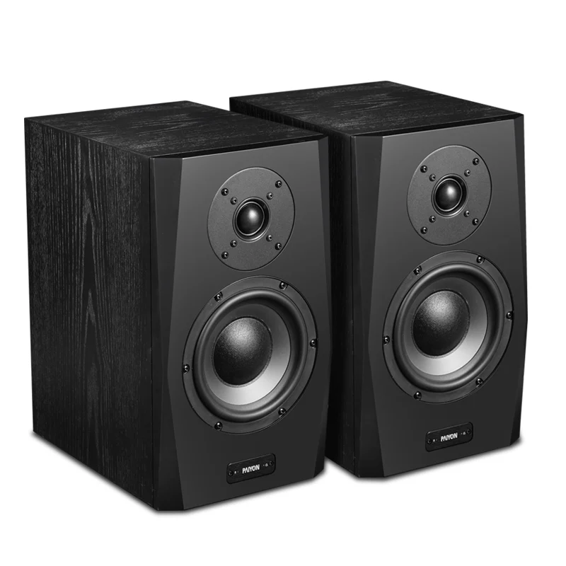Paiyon A61 Altoparlante Da Scaffale Attivo 50W Hifi Squisis 6.5 ''Woofer Altoparlanti In Vero Legno
