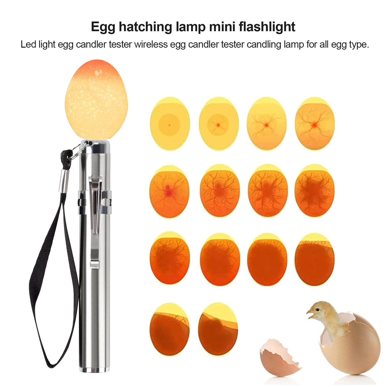 Tester Per Candele Per Uova, Lampada A Lume Di Candela A Led Luminosa E Fredda Per Tutte Le Uova Di Cannone Di Anatra Di Quaglia Scura Di Pollo