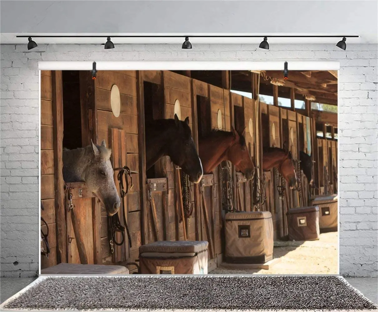 Fotografia Sfondo Stud-Farm Horses Scene Farm Country Village Rustico Tema Rurale Sfondo Cowboy Ritratto Sfondo