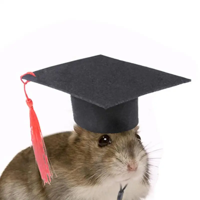 Pet Doctor Hat Pet Graduation Costume Hat Dog Graduation Hats Con Nappa Rossa Criceto Graduation Costume Hat For Dogs Cats