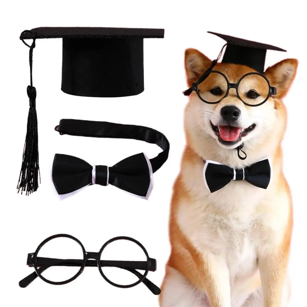 1 Set Pet Graduation Suit Doctor Regolabile Con Nappa Feltro Pet Cats Cani Cosplay Cappello Collare Occhiali Set Accessori Per Animali Domestici