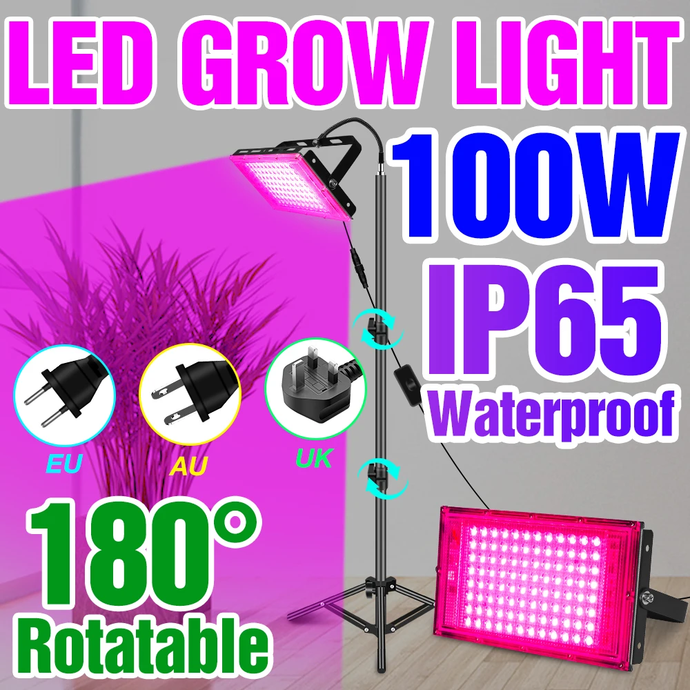 Led Full Spectrum Light Grow Lamp Con Supporto Lampadina Idroponica Per Piante 25W 50W 100W Led Growth Light Garden Phyto Flowers Grow Box