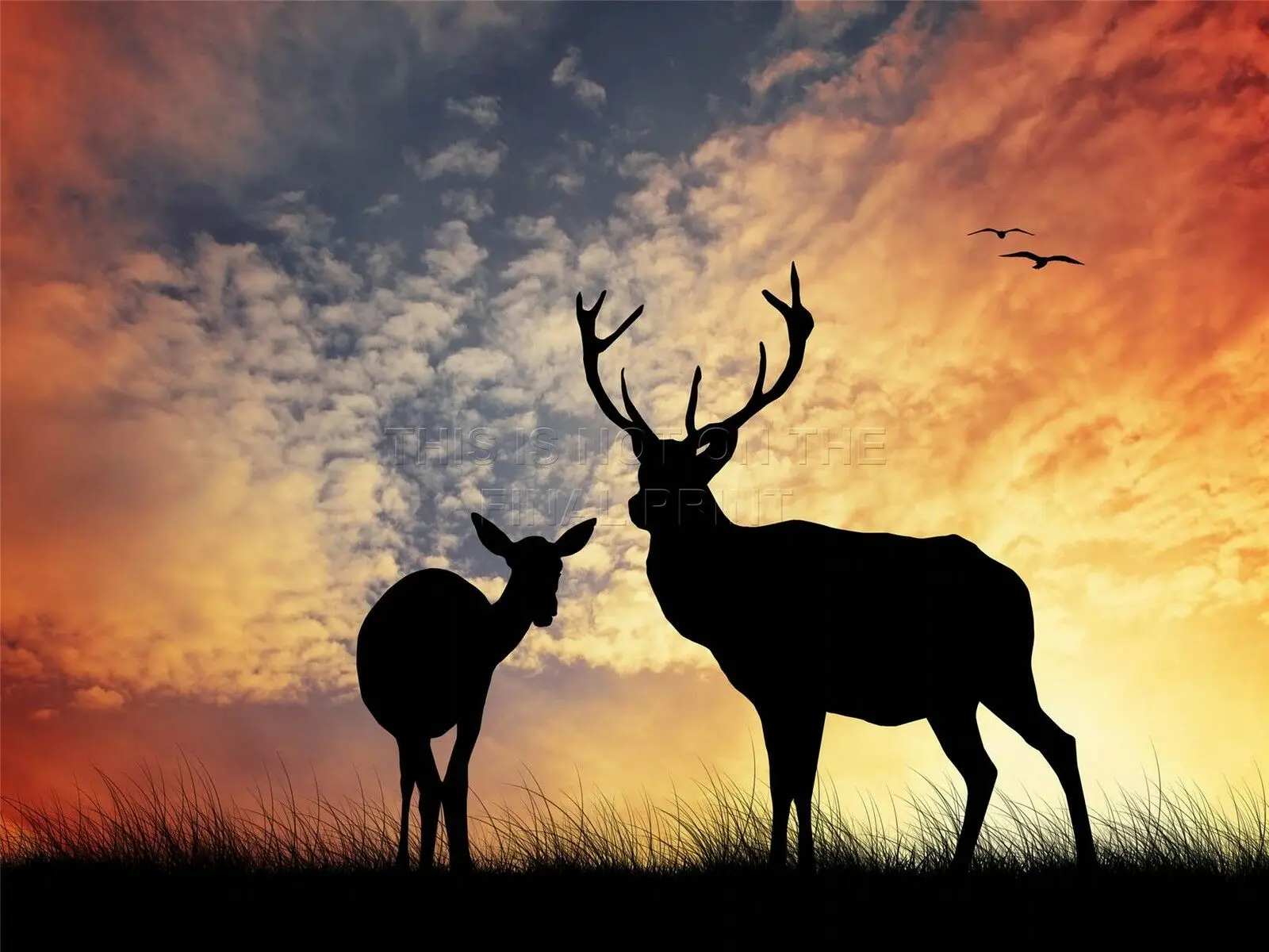 Photo Deer Silhouette Sunset Sky Art Print Silk Poster Home Wall Decor