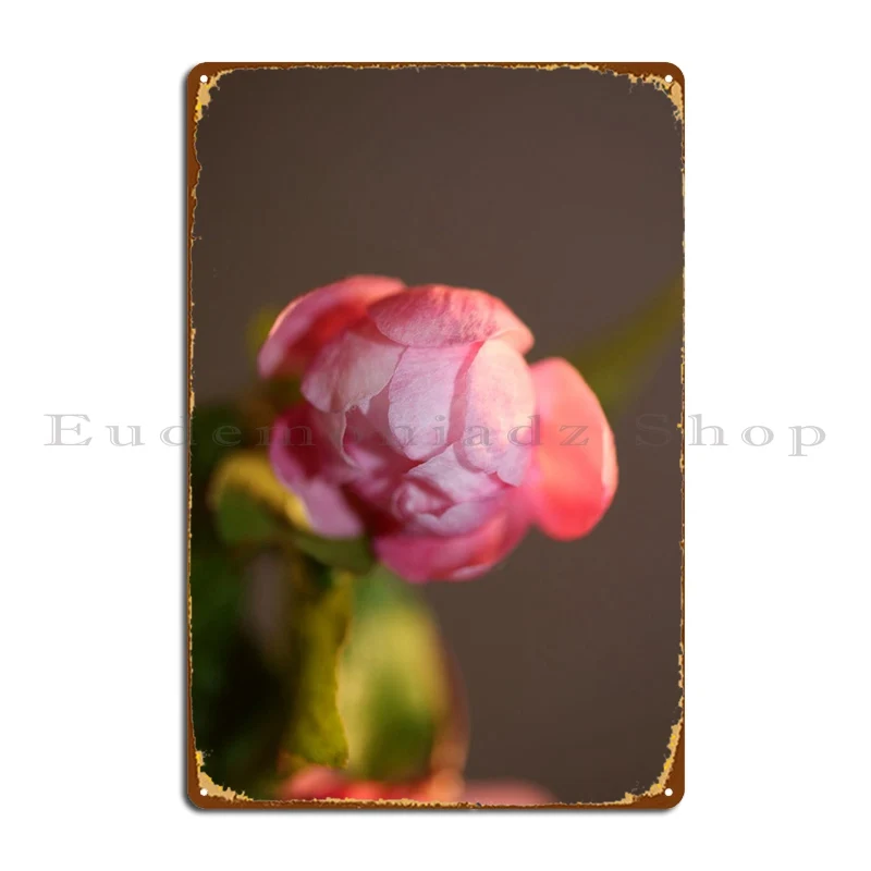 Prunus Serrulata Rosacea Segni In Metallo Decorazione Retrò Cave Designer Club Tin Sign Poster