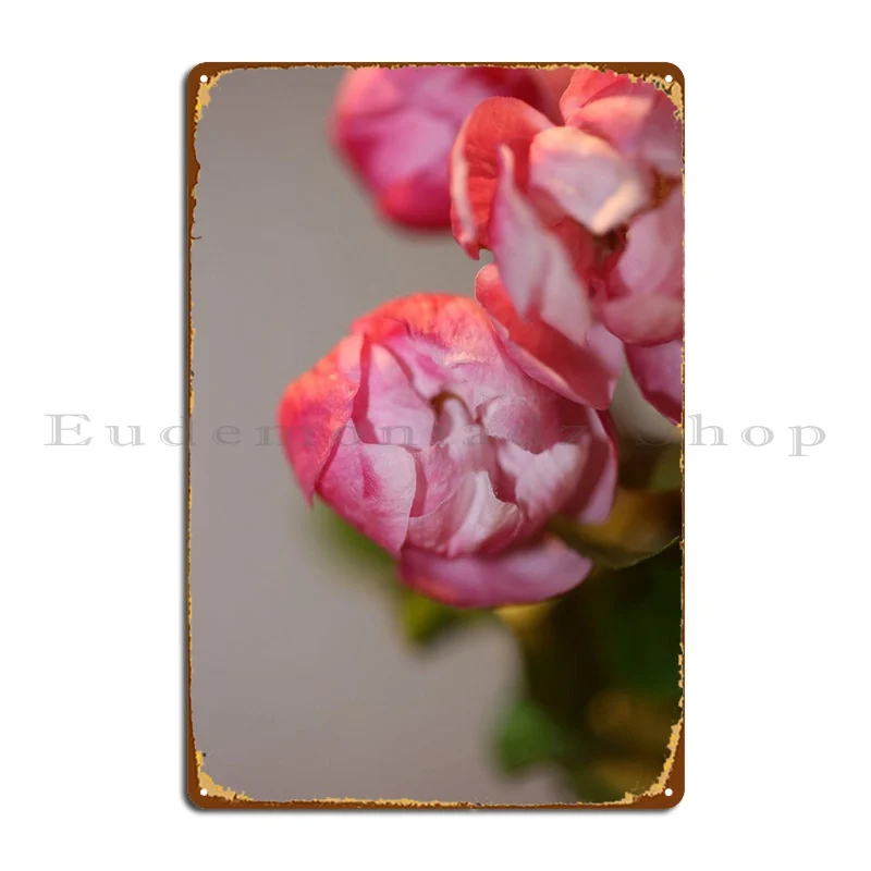 Prunus Serrulata Rosacea Metal Platform Poster Cinema Personalizza Cave Printed Cinema Tin Sign Poster