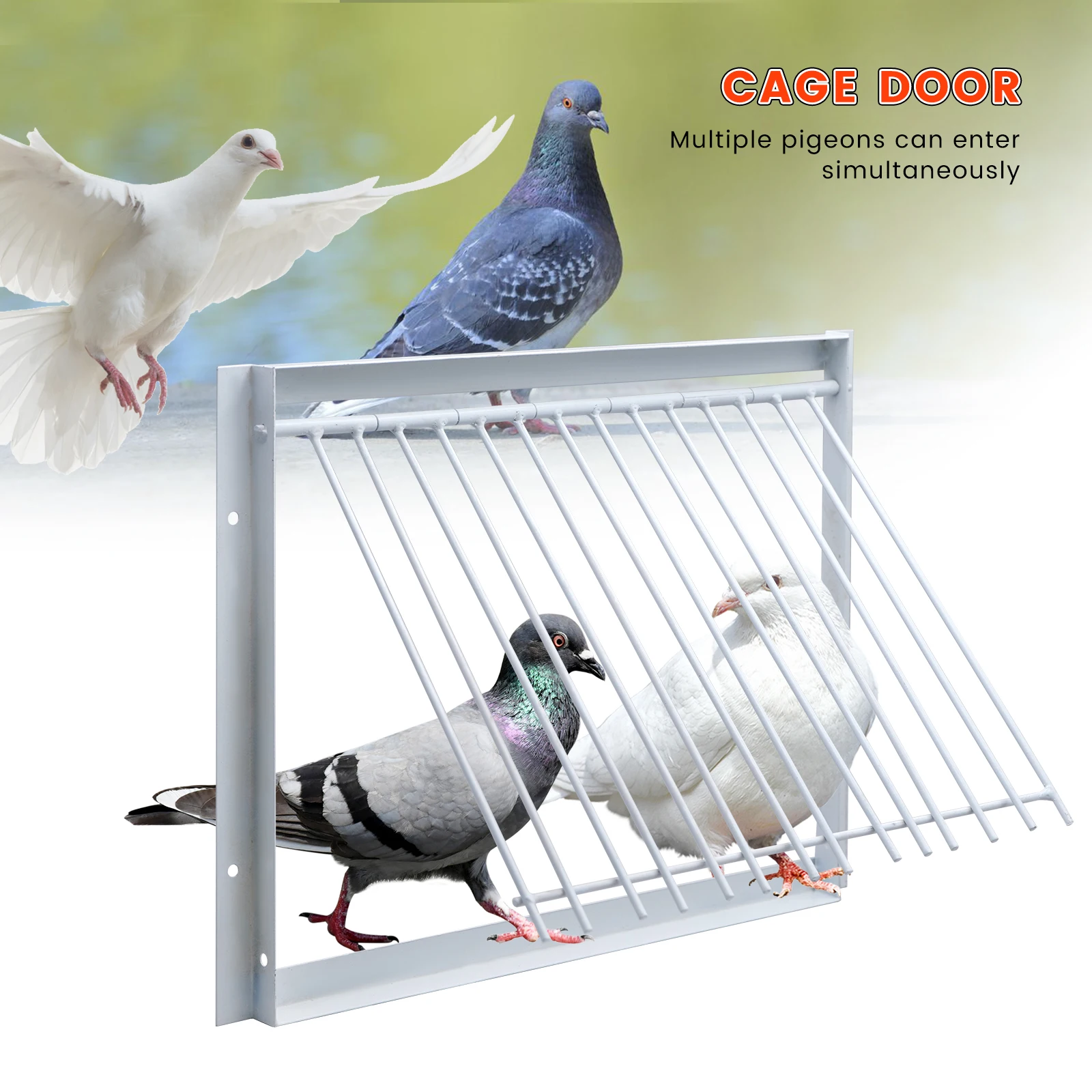 30Cm Pigeon Cage Door Barre Metalliche Telaio Ingresso Intrappolamento Porte Loft Uccelli Forniture Cattura Bar Ingresso Tenda Rimovibile
