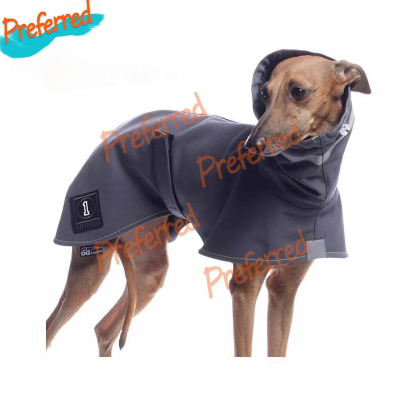 Cute Naughty Whippet Tummy Warmer Dog Sticker Decal For Your All Cars Racing Laptop Moto Casco Valigia Surf Camper