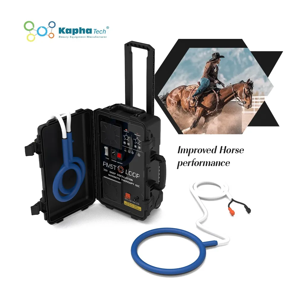 Equine Pemf Magnetic Therapy Health Wave Pmst Loop Machine Per Cavalli Con 6000Gs Energy