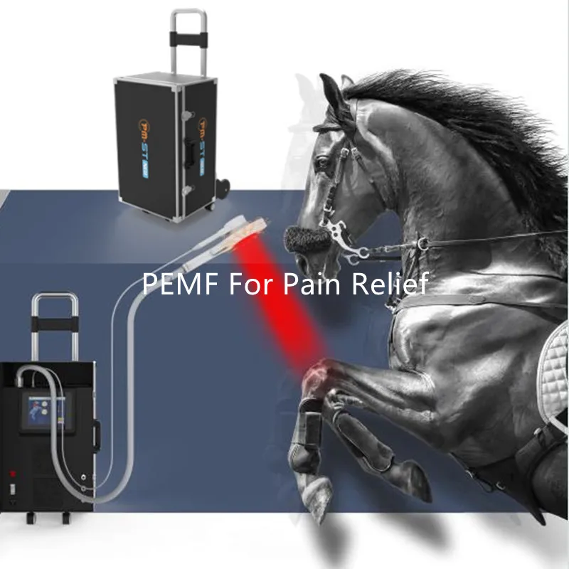 Dispositivo Veterinario Pemf Physio Magnetic Therapy Emtt Machine Con Sistema Di Raffreddamento Ad Acqua