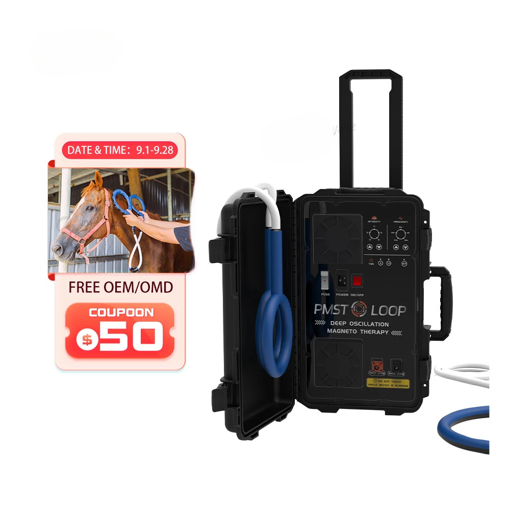 Dispositivo Portatile Per Terapia Magnetica Pemf Pmst Loop Horse Magnetic Therapy Pemf Machine