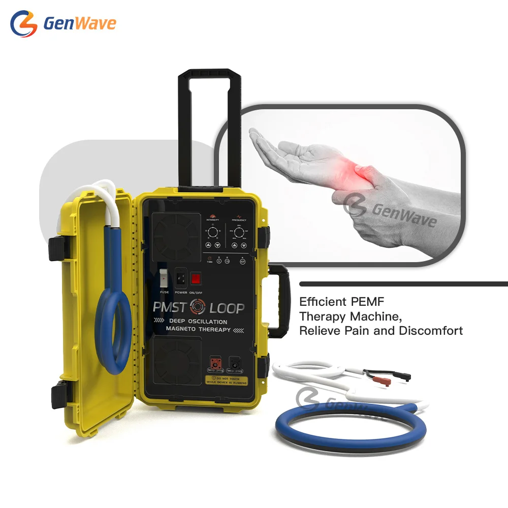 Pmst Loop Magna Wave Pemf Per Macchina Per Terapia Emtt Con Dolore Alla Schiena Bassa