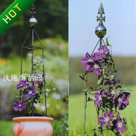 Hoya Wire Lotus Pillar Climbing Frame Assembly/Flower Che Indossa Due Set Di Palline Di Vetro