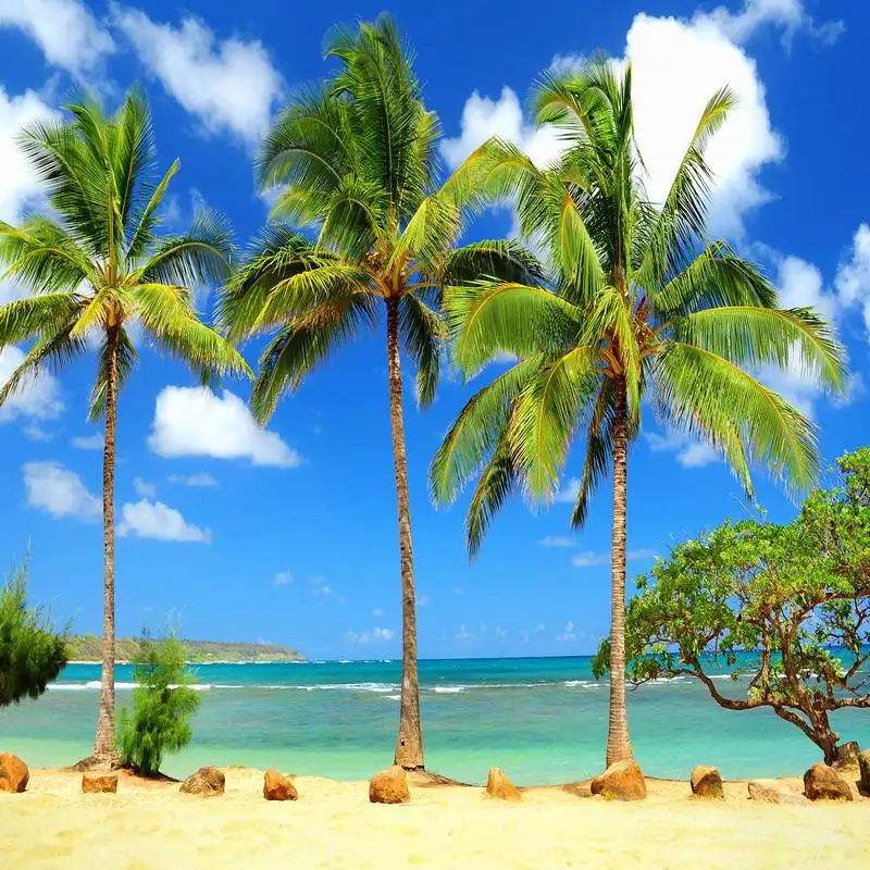 10 X10Ft Nuvole Cielo Blu Ocea Sea Island Palm Tree Sand Beach Rocks Custom Photo Background Studio Sfondo Vinile 300Cm X 300Cm