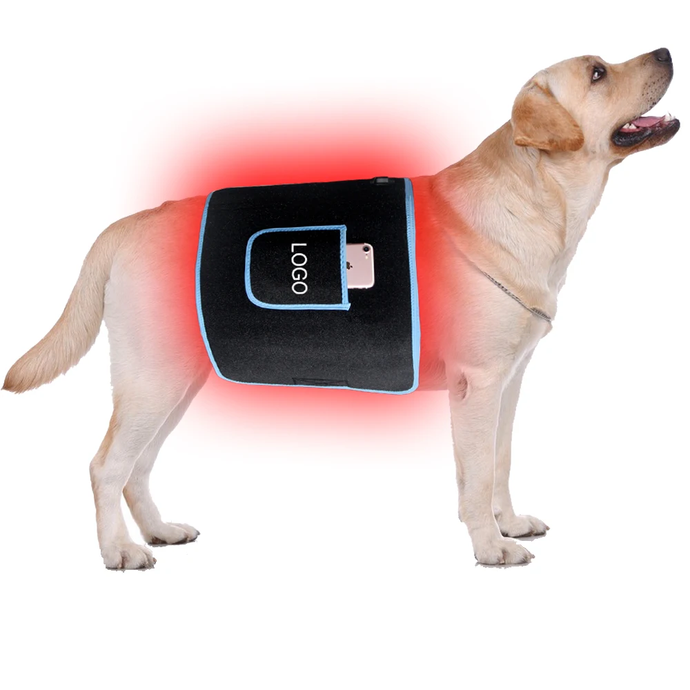 Pdt Red Infrared Light Therapy Device Light Overreach Boot Per Regolare La Glicemia Guarigione Delle Ferite Cavallo Cat Dog Light Solarium