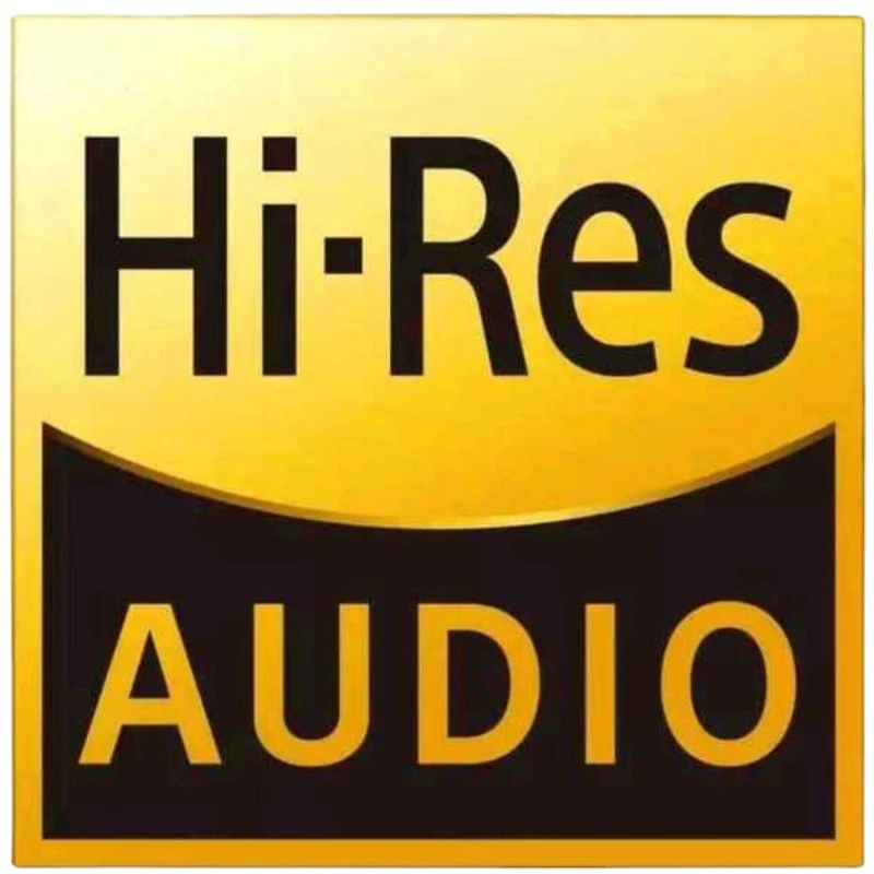 10 Pezzi Adesivi Audio Hi-Res Per Sony Walkman, Fiio, Shanling, Ibasso, Iriver, Cayin Mp3 Dap E Tutti I Dispositivi Hifi