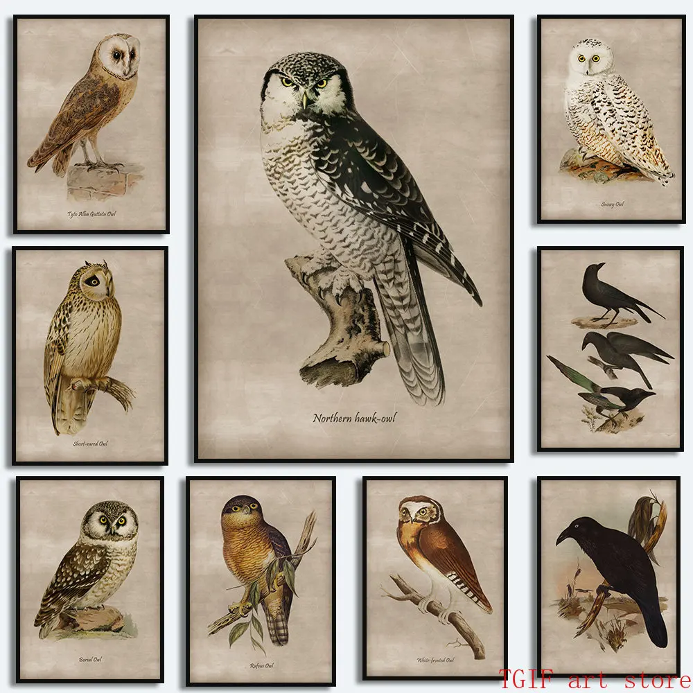 Retro Black Raven Sooty Owl Northern Hawk Owl Canvas Painting Bird Poster E Print Wall Art Picture For Living Room Home Decor